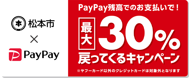 2009paypay
