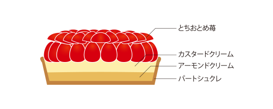 苺タルト　おすすめケーキ