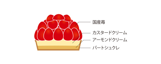 2024 5HORN Xmas：イチゴタルト 断面図